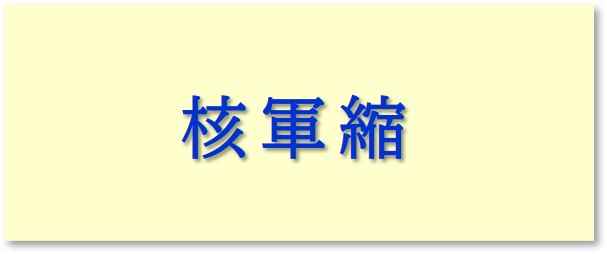 核軍縮と安全保障