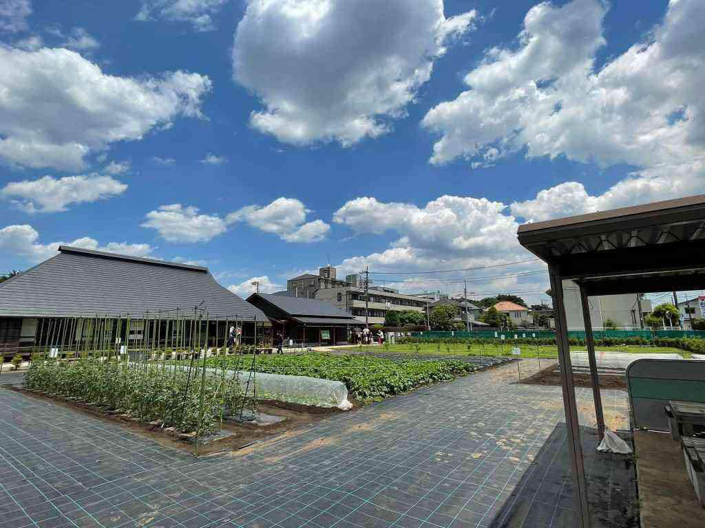 農福連携農園「すぎのこ農園」にて子ども食堂